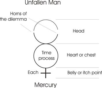 Description: unfallen man