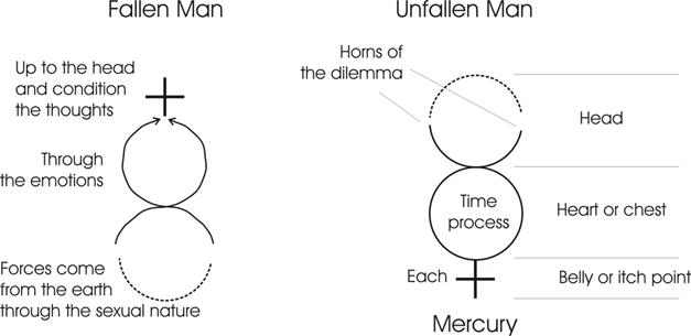 Description: fallen and unfallen man