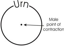 Description: urn and contraction.JPG